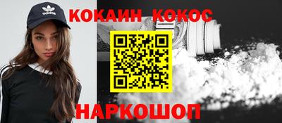 гашик Боровичи