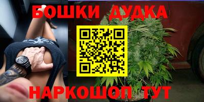 гашик Боровичи