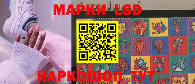 гашик Боровичи
