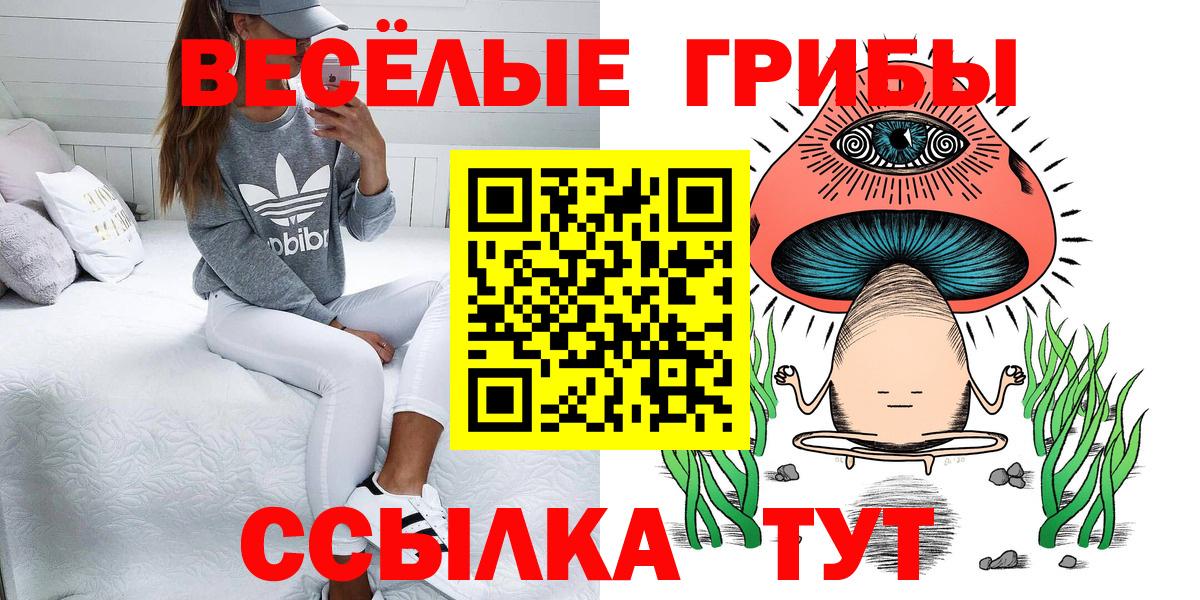 Минеральные Воды  Галлюциногенные грибы прущие грибы  Вход с VPN 