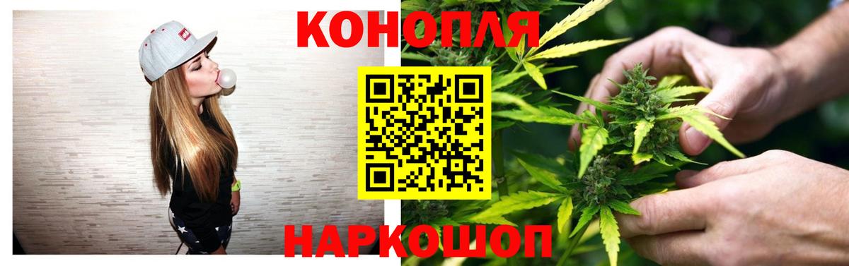 Бошки марихуана планчик  Вход с VPN  Канабис White Widow  Марихуана индика  Минеральные Воды 